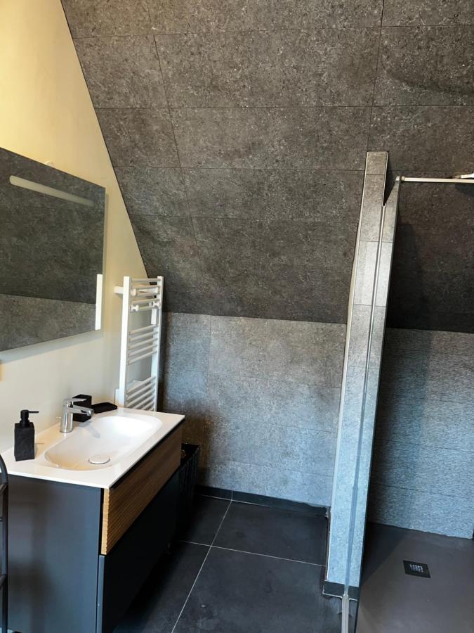 Magnifique Duplex Avec Jaccuzi, Sauna Et Cinema Room Privatif Fontenoy  Exteriör bild